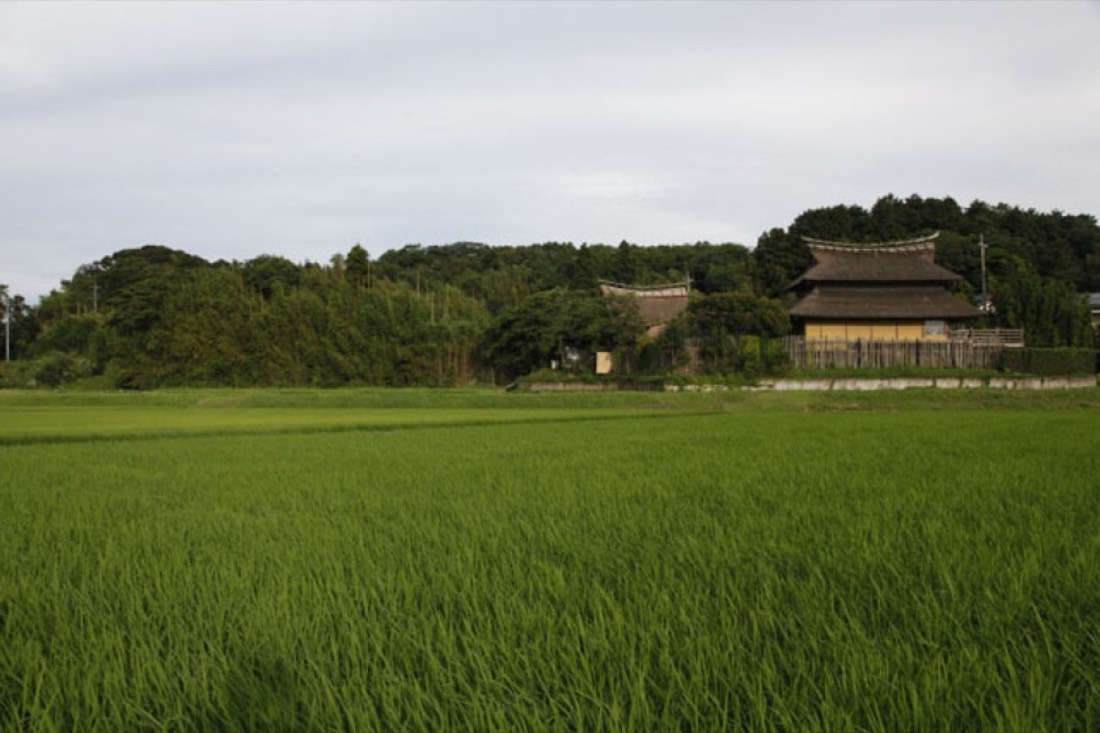 松園 1
