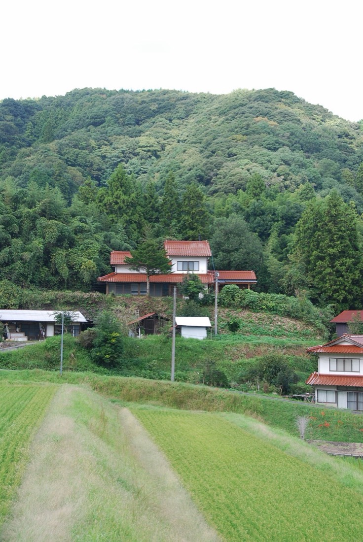 棚田の古民家 8